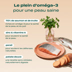 SAUMON, TRUITE, PERSIL