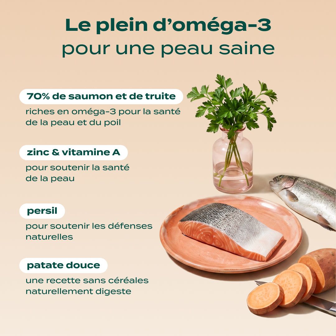 SAUMON, TRUITE, PERSIL