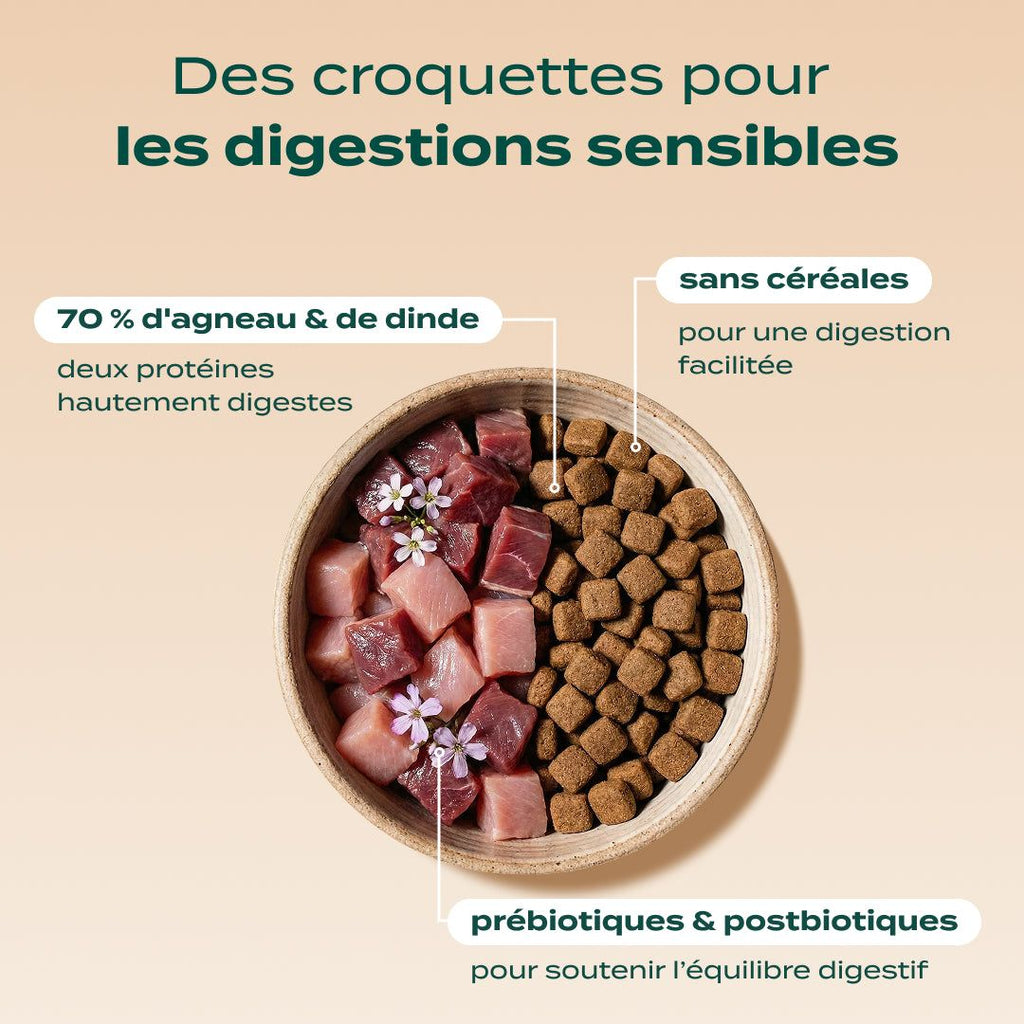 PACK DIGESTION CHAT