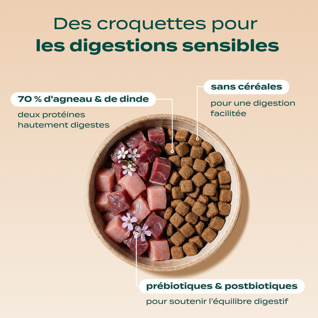 PACK DIGESTION CHAT