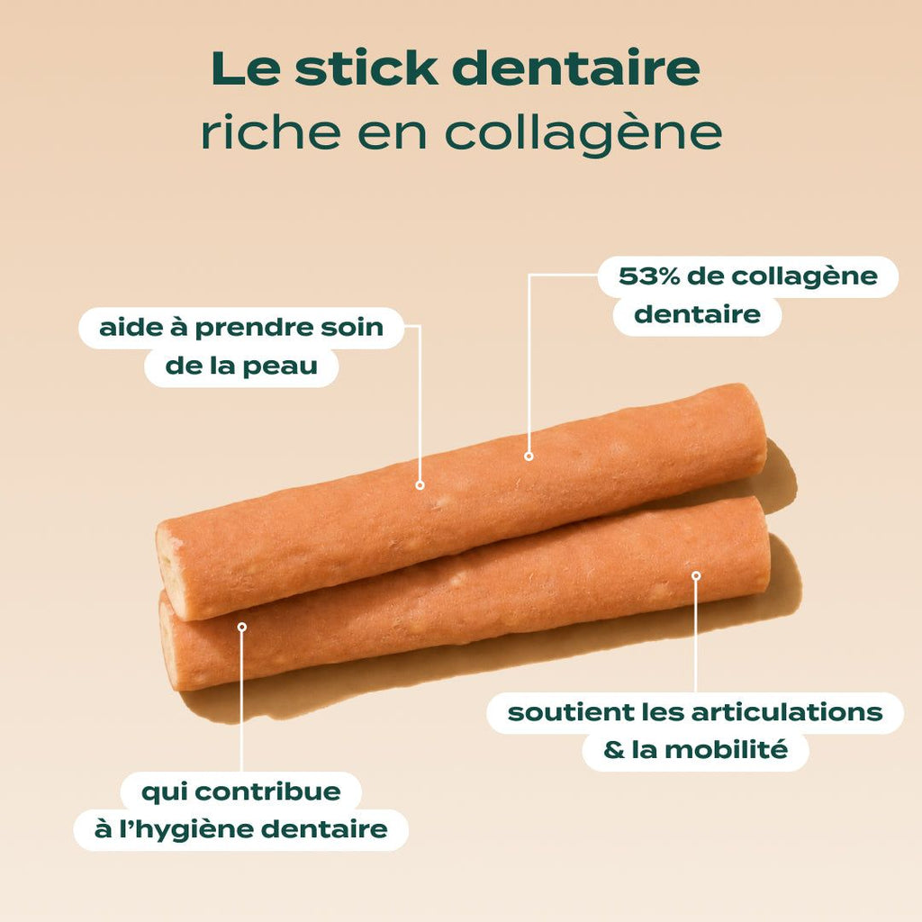 PACK STICKS DENTAIRES