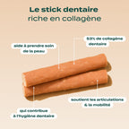 PACK STICKS DENTAIRES