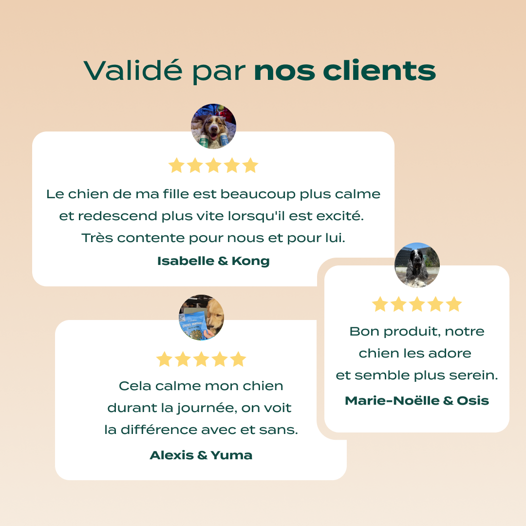 PACK DÉCOUVERTE ANTI-STRESS CHIEN