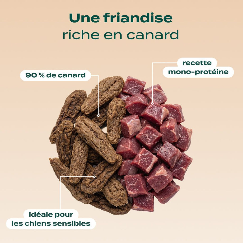 PACK ANTI-ALLERGIE CHIEN