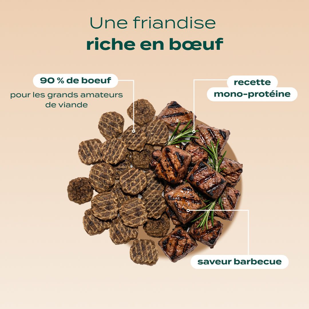 PACK CHIEN DIFFICILE