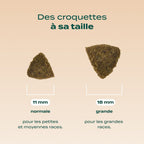 SAUMON, TRUITE, PERSIL