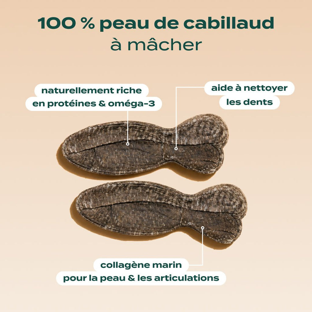 PACK DENTAIRE CHIEN