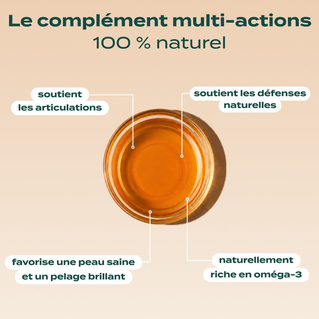 HUILE DE SAUMON