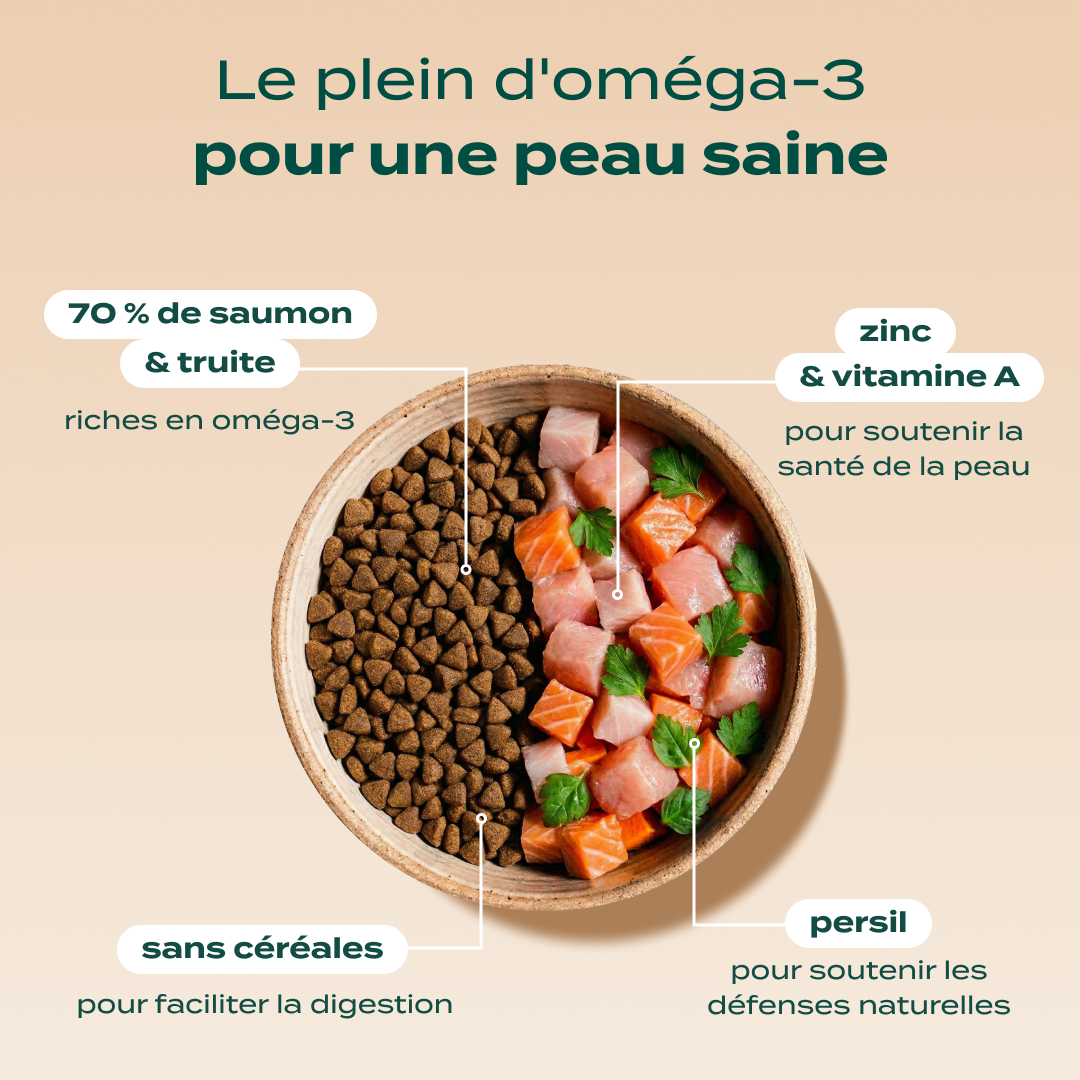 PACK PEAU ET PELAGE CHIEN
