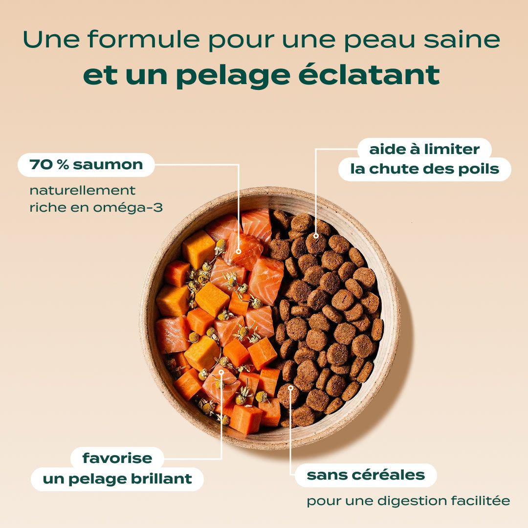 PACK ANTI-ALLERGIE CHAT