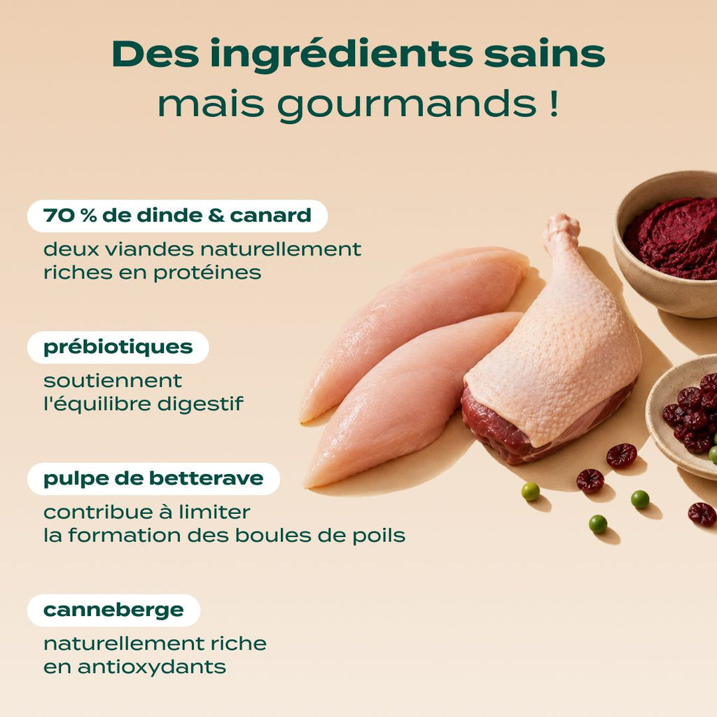 DINDE, CANARD, CANNEBERGE