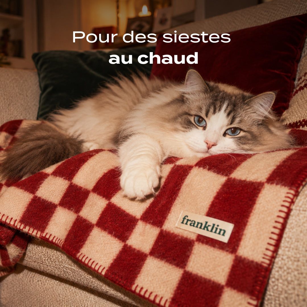 PLAID À CARREAUX