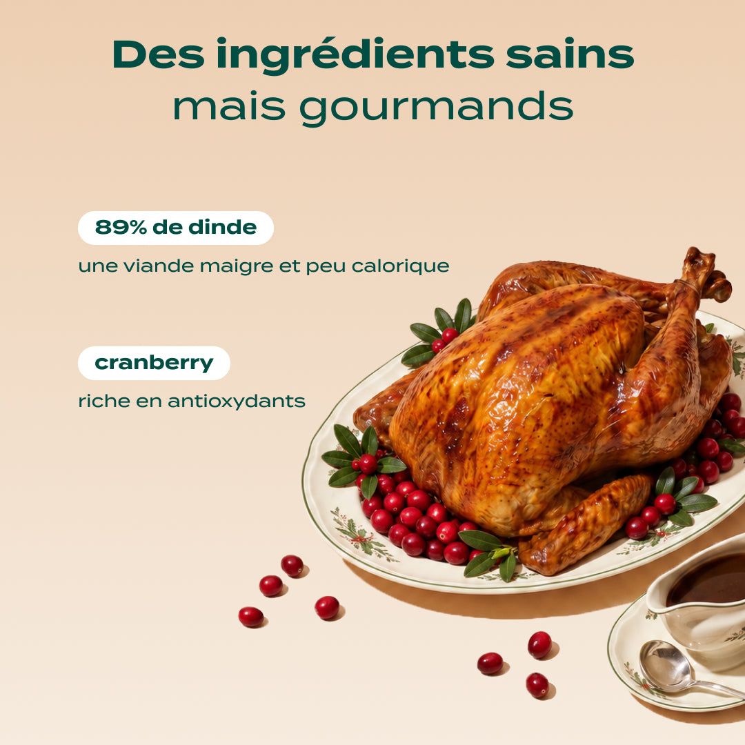 RITUELS D'HIVER DINDE, CRANBERRY
