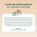 POULET, COURGE, MYRTILLE