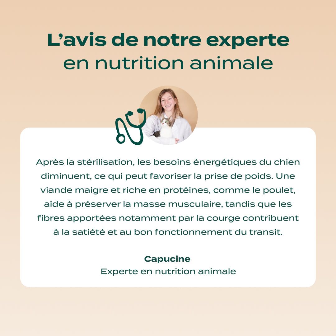 POULET, COURGE, MYRTILLE
