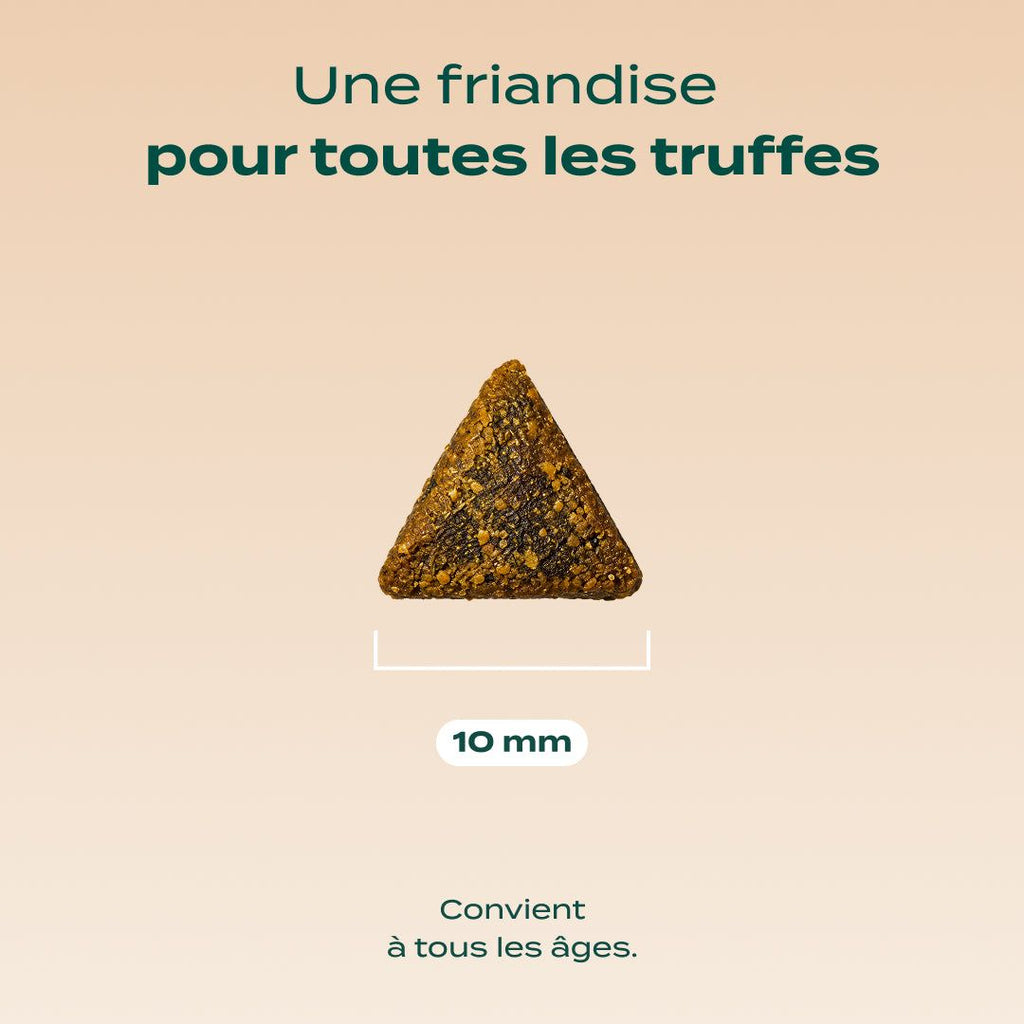 BOUCHÉES ENSORCELÉES SAUMON, CITROUILLE