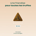 BOUCHÉES ENSORCELÉES SAUMON, CITROUILLE