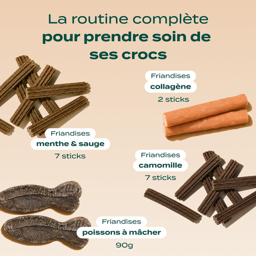 PACK DENTAIRE CHIEN