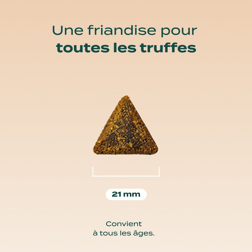 NOËL GOURMAND DINDE, CHEDDAR