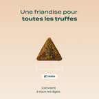 NOËL GOURMAND DINDE, CHEDDAR