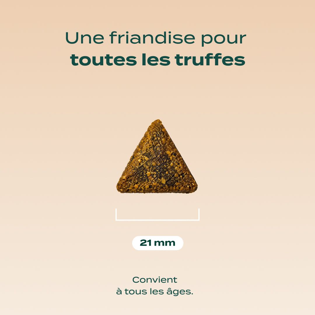 NOËL GOURMAND DINDE, CHEDDAR