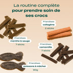 PACK STICKS DENTAIRES