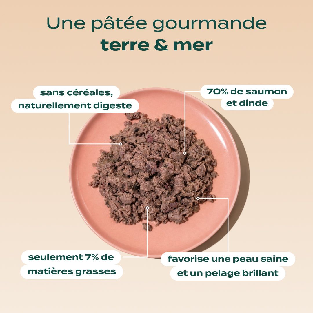 SAUMON, DINDE, CANNEBERGE