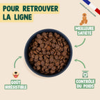 BOEUF, POMME, COURGE