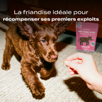 Mini viande séchée boeuf