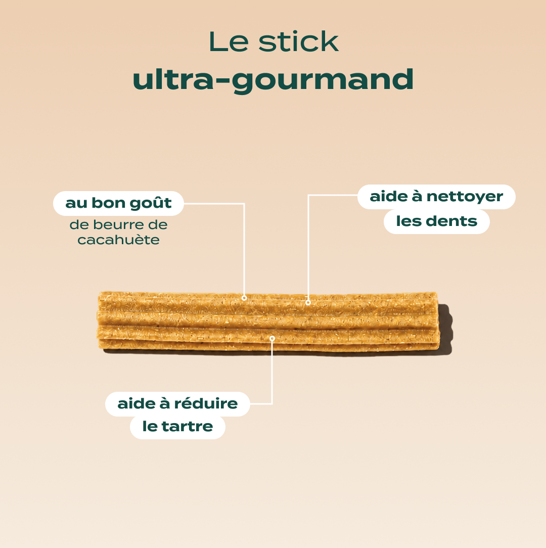 TRIO STICKS DENTAIRES