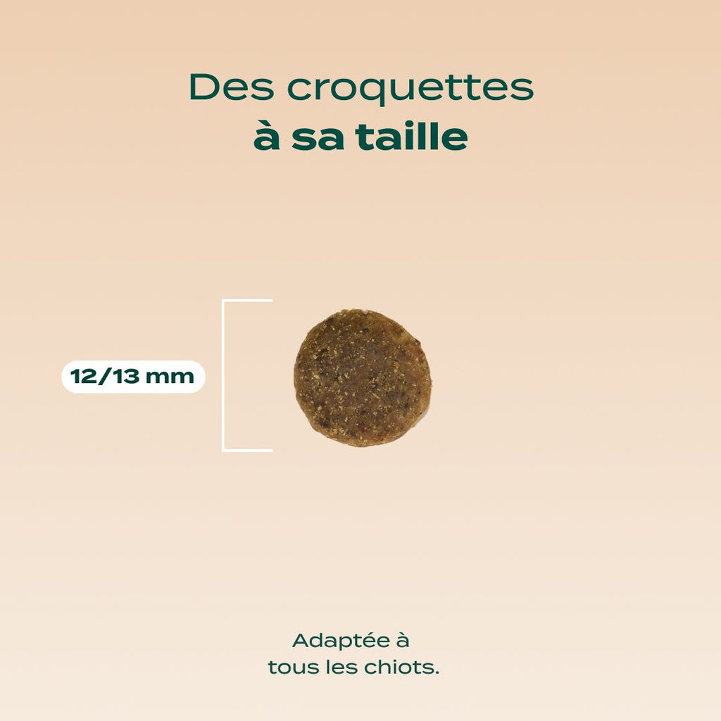 DINDE, TRUITE, PATATE DOUCE