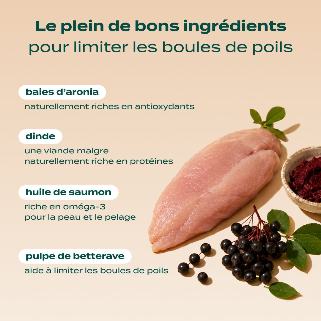 BISCROC' ANTI BOULES DE POILS