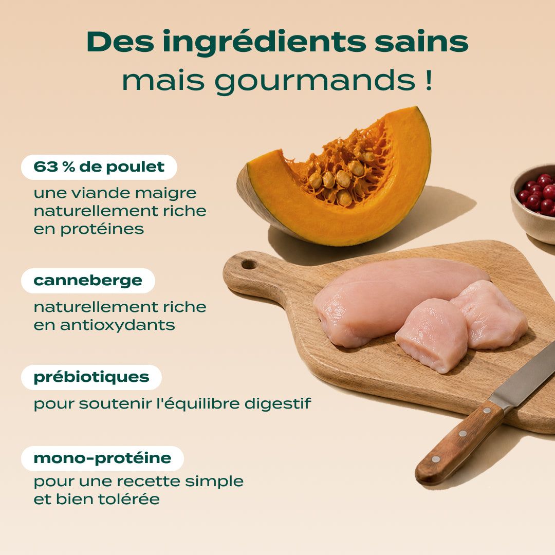 POULET, COURGE, CRANBERRY
