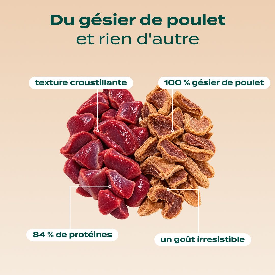 DUO SNACK SAUVAGE