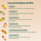 GUMMIES MULTIVITAMINES