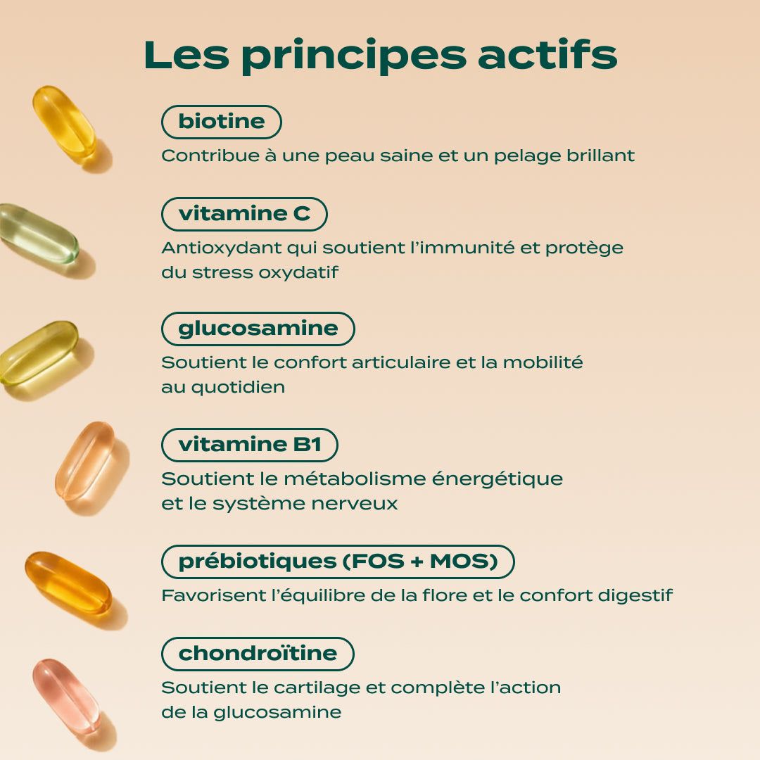 GUMMIES MULTIVITAMINES