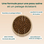 SAUMON, COURGE, CAMOMILLE