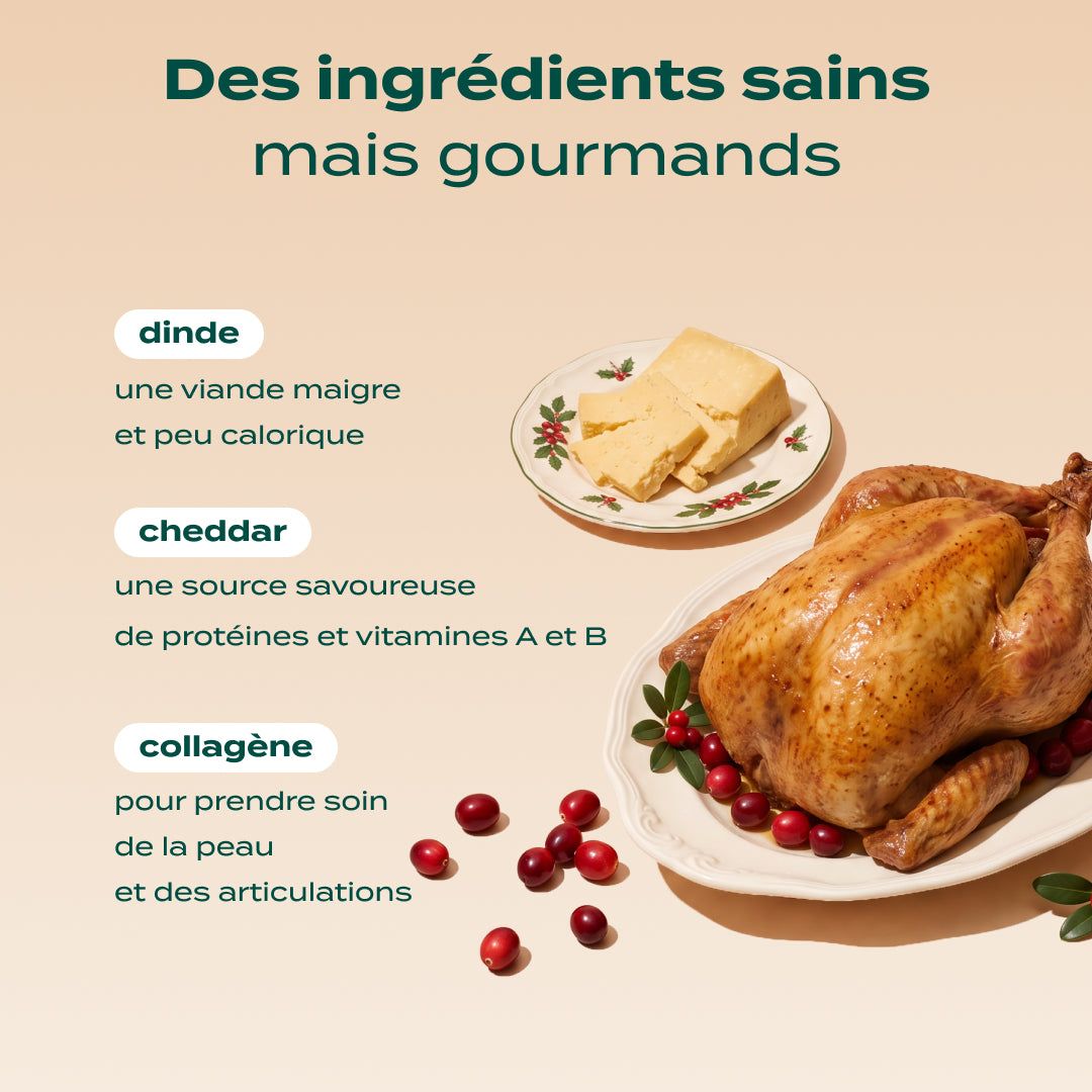 NOËL GOURMAND DINDE, CHEDDAR