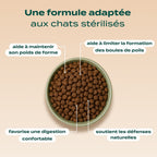 DINDE, CANARD, CANNEBERGE