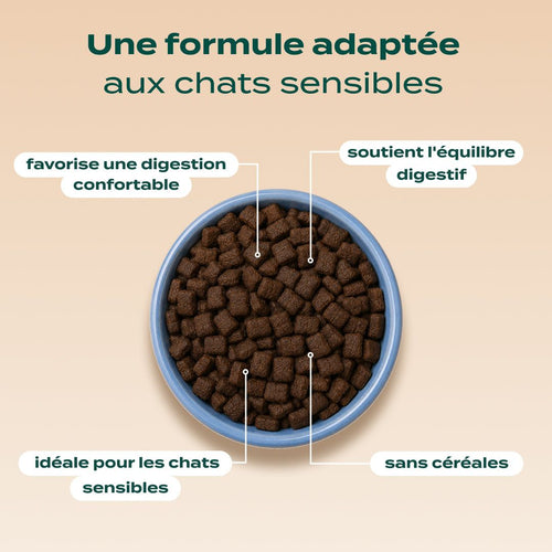 AGNEAU, DINDE, VALÉRIANE
