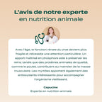 POULET, MYRTILLE, BASILIC