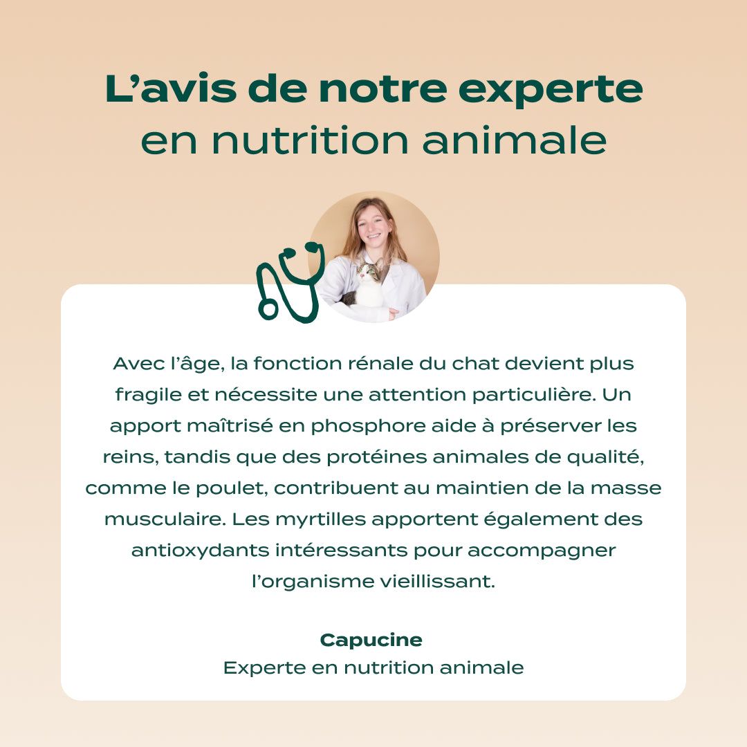 POULET, MYRTILLE, BASILIC