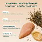 MINI SNACK URINAIRE