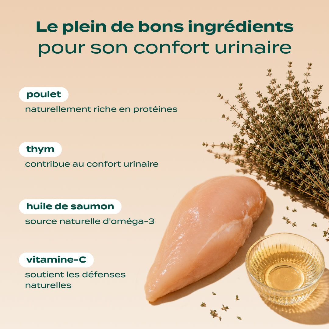MINI SNACK URINAIRE