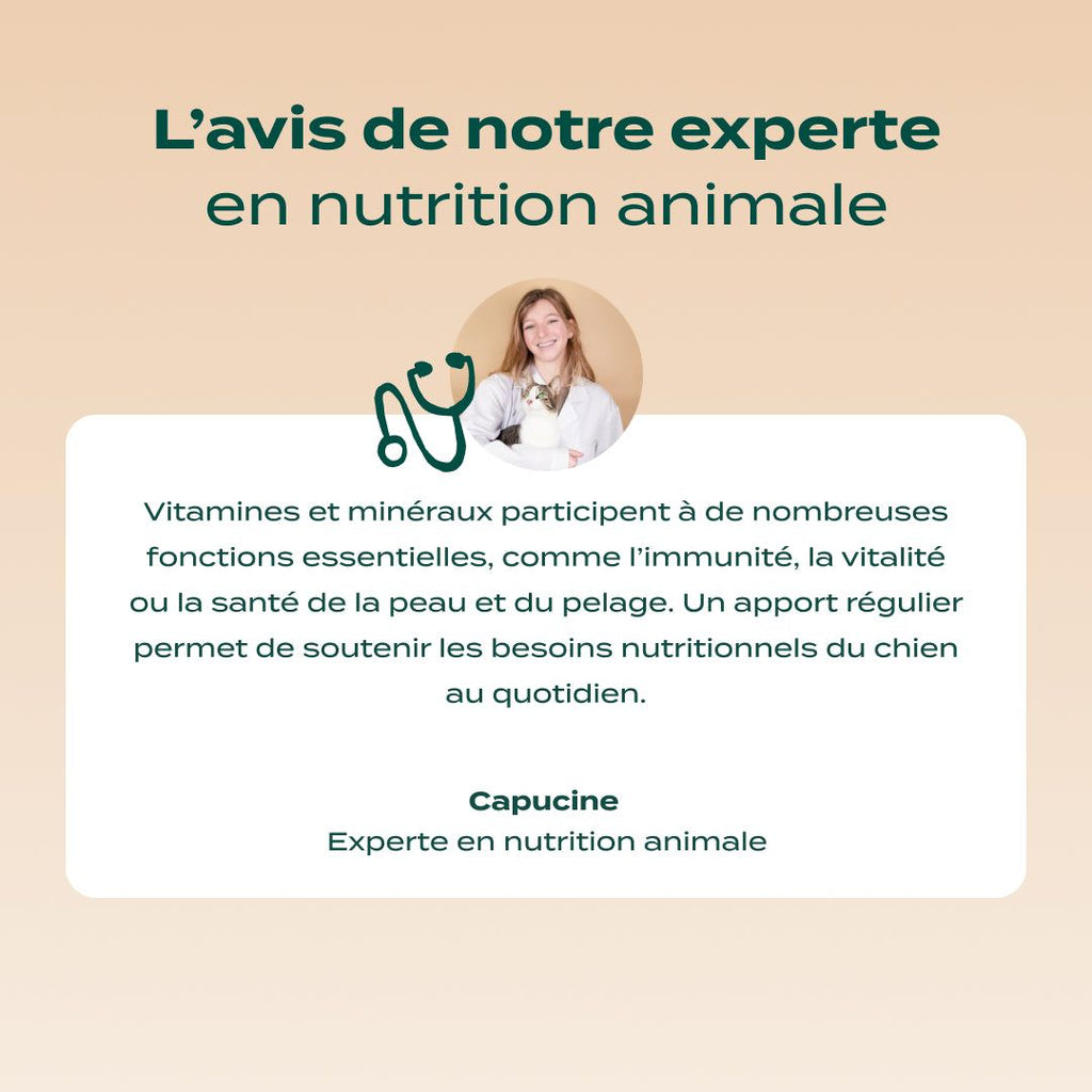 GUMMIES MULTIVITAMINES