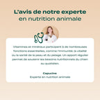 GUMMIES MULTIVITAMINES