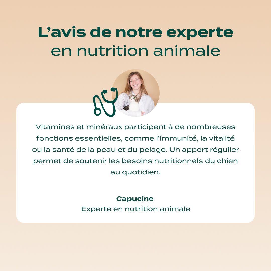 GUMMIES MULTIVITAMINES