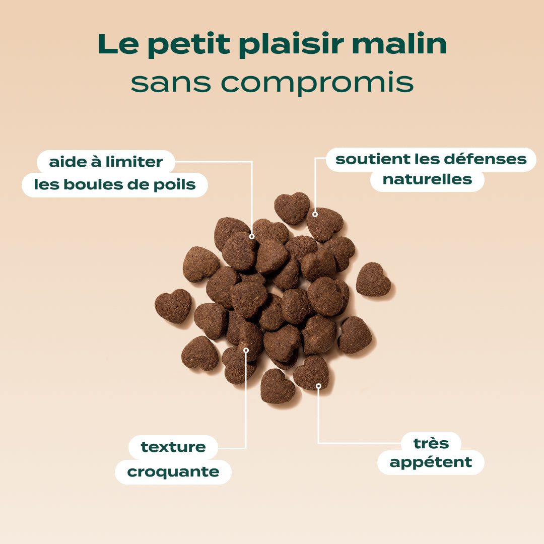 BISCROC' ANTI BOULES DE POILS