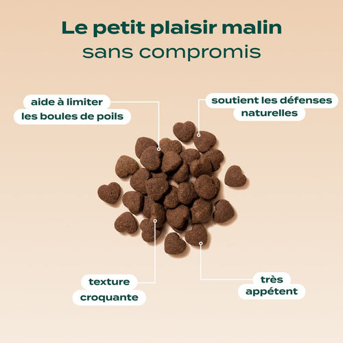 BISCROC' ANTI BOULES DE POILS