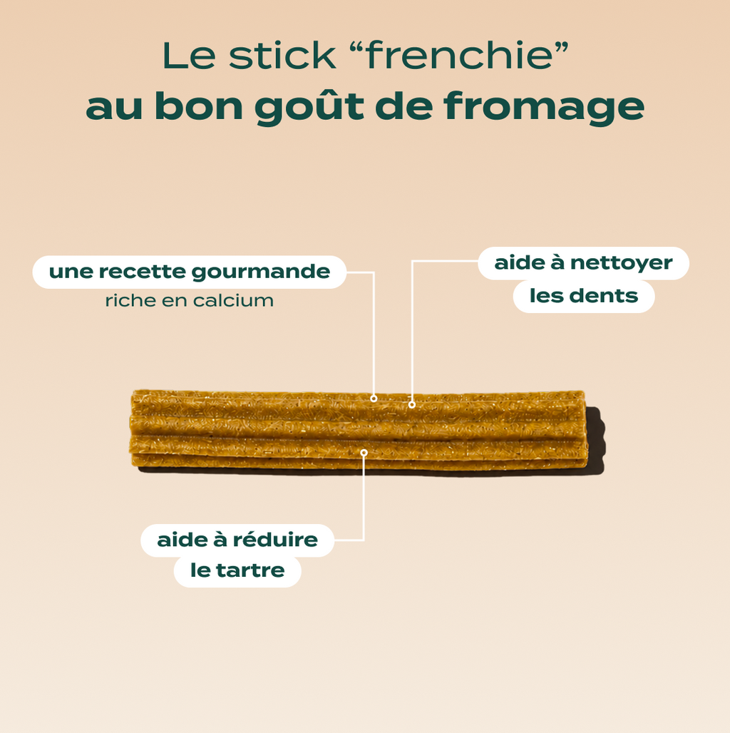 TRIO STICKS DENTAIRES
